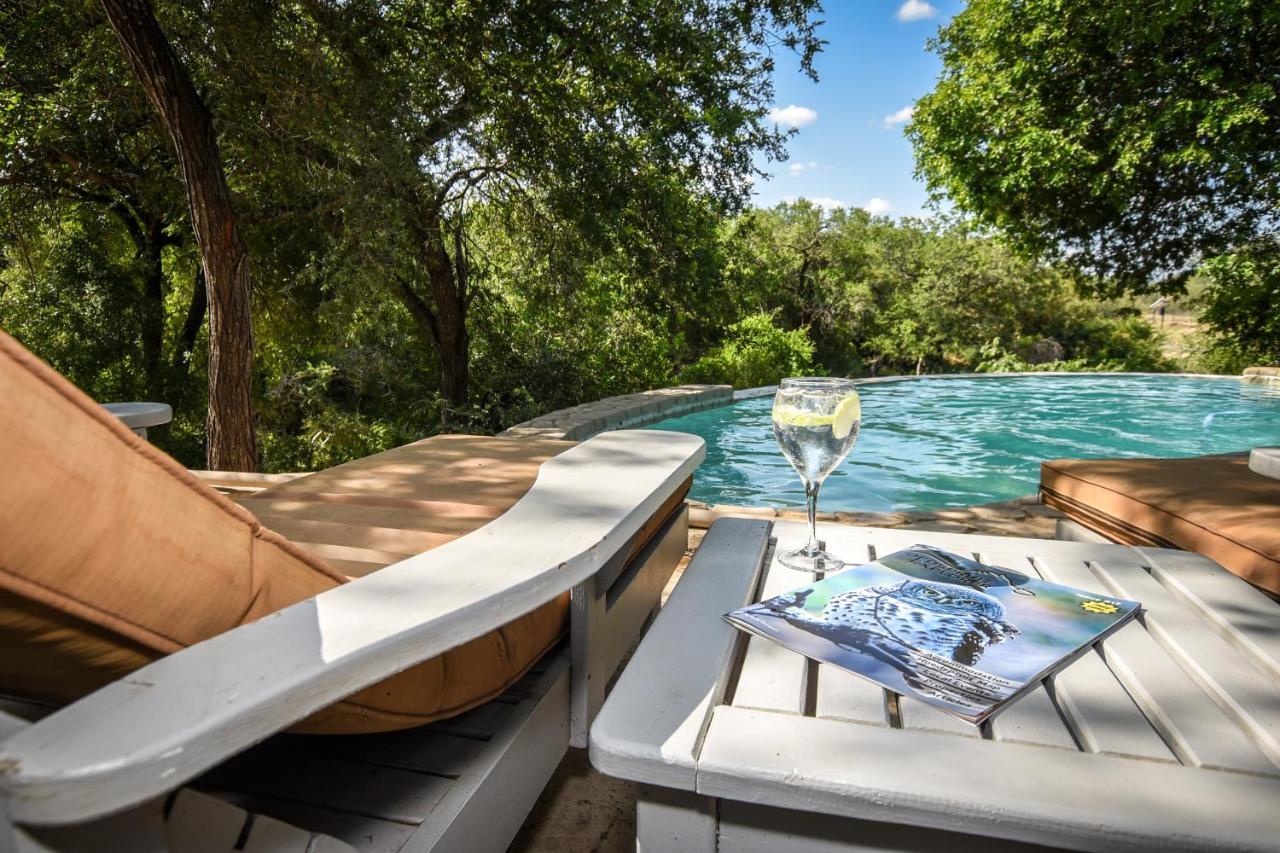 Leopard'S Lair Bush Lodge Hoedspruit Zewnętrze zdjęcie