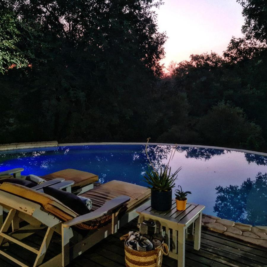 Leopard'S Lair Bush Lodge Hoedspruit Zewnętrze zdjęcie