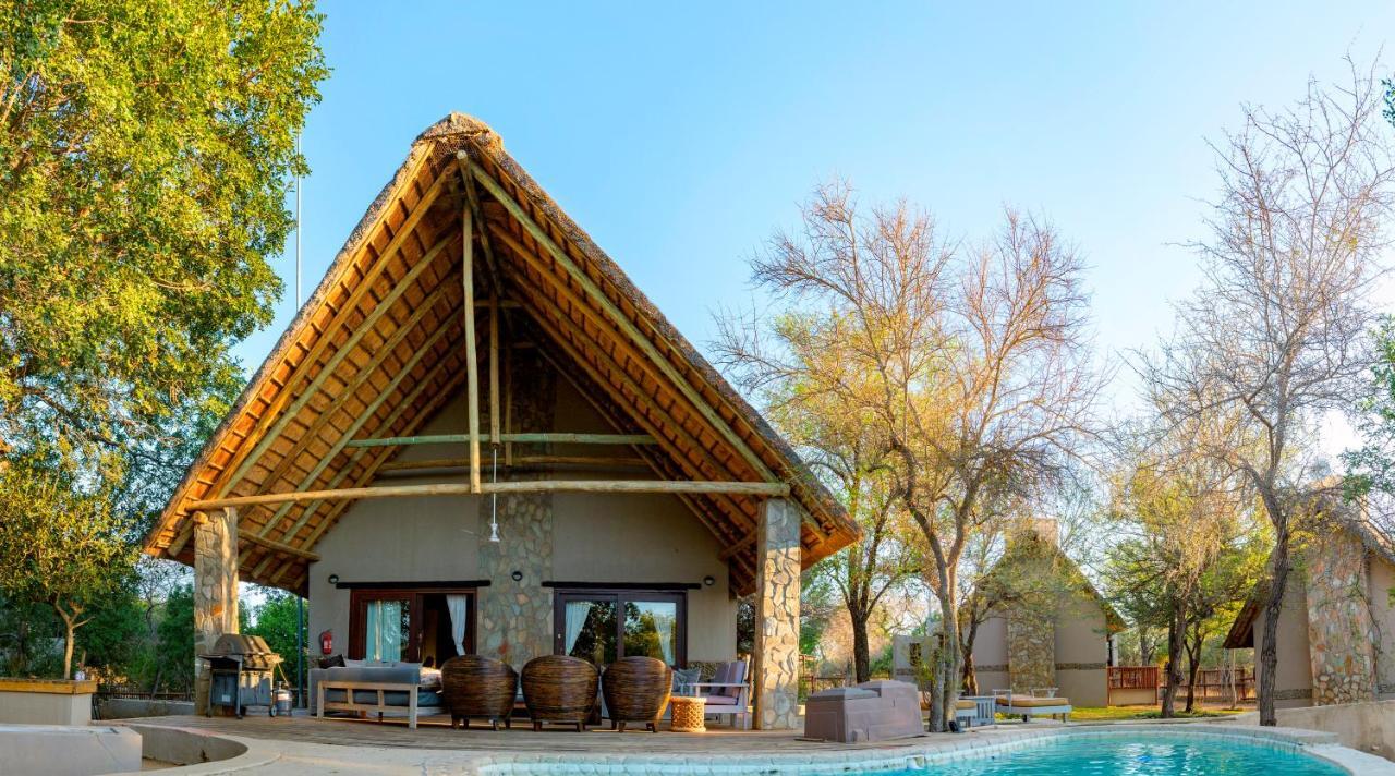 Leopard'S Lair Bush Lodge Hoedspruit Zewnętrze zdjęcie