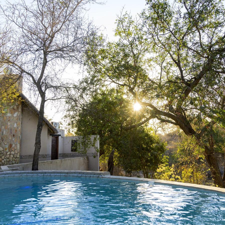 Leopard'S Lair Bush Lodge Hoedspruit Zewnętrze zdjęcie